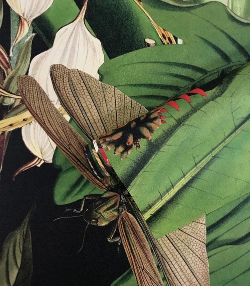 Tapeta Artystyczna Tropical Composition 