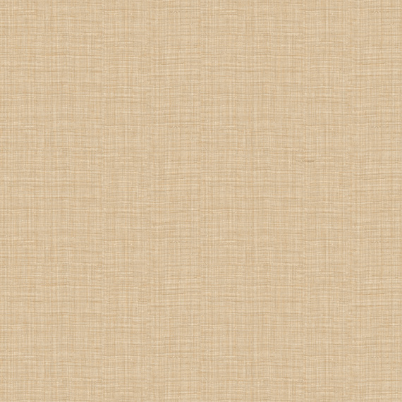 Tapeta Trussardi Casa 8 Z30329 jednokolorowe płótno