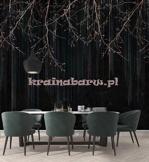 Fototapeta Leśna impresja czarna Diadema I