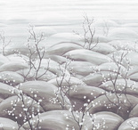 Mural Masureel Sakura DGTRA5031- 5033 kwitnąca sakura