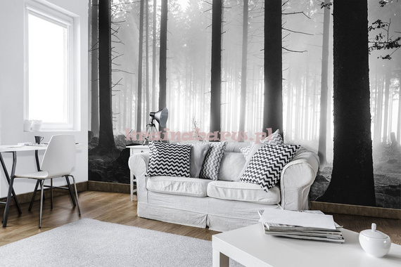 Fototapeta 12067 Czarno Biały Las