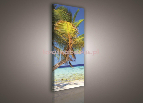 Obraz na płótnie PP143O Palmy