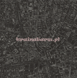 Tapeta TH34100 Themes of Life III