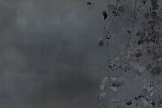 Fototapeta Glamora Edera