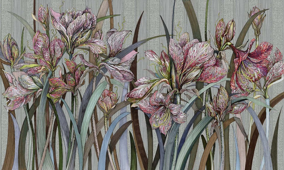 Fototapeta Kwiaty Amaryllis I