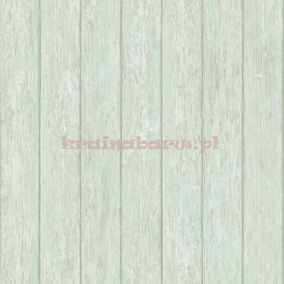 Tapeta G56442 Global Fusion