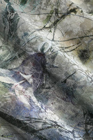 Fototapeta Polne kwiaty Lea