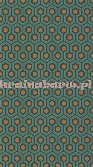 Tapeta 95/3018  Hicks' Hexagon