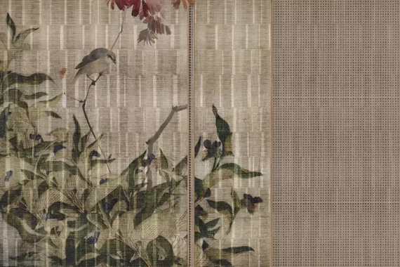 Fototapeta Glamora Tori