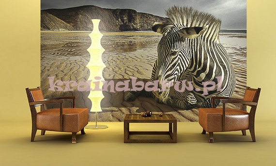 Fototapeta FM0299 Zebra na plaży