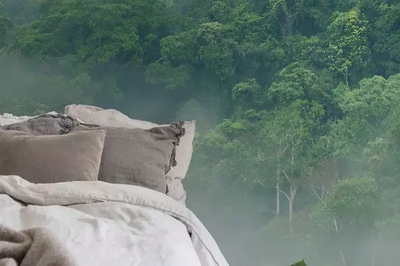 Fototapeta Tropikalny Las