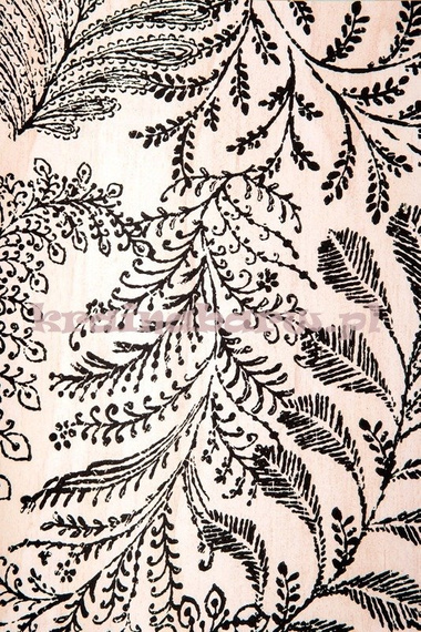 Tapeta 366001 Geonature