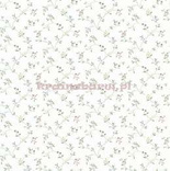 Tapeta z klejem CN24604 Fresh Kitchens 5