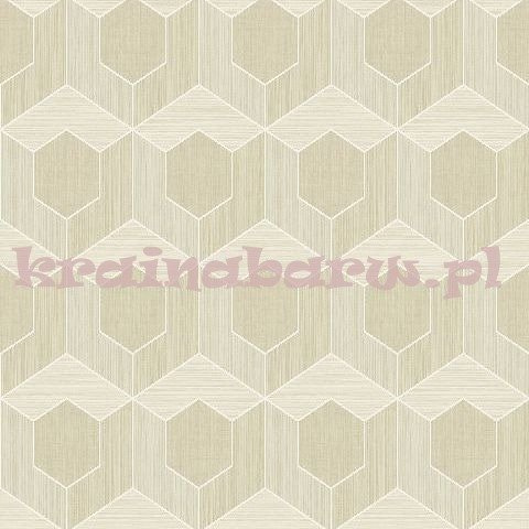 Tapeta RM70405 Zircon