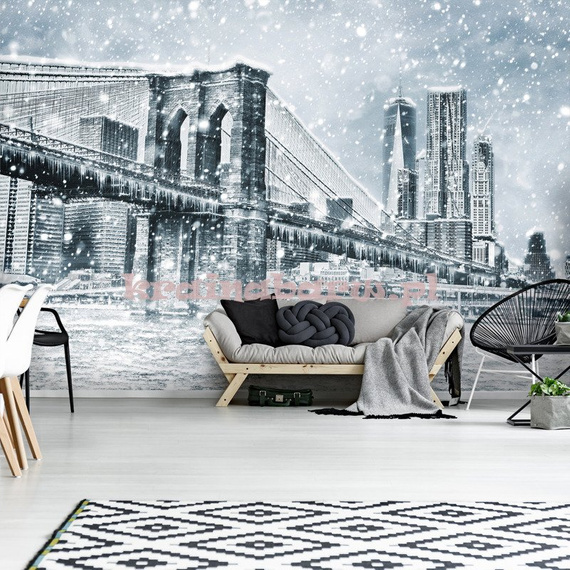 Fototapeta 13321 Nowy York Zimą