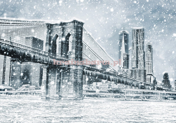Fototapeta 13321 Nowy York Zimą