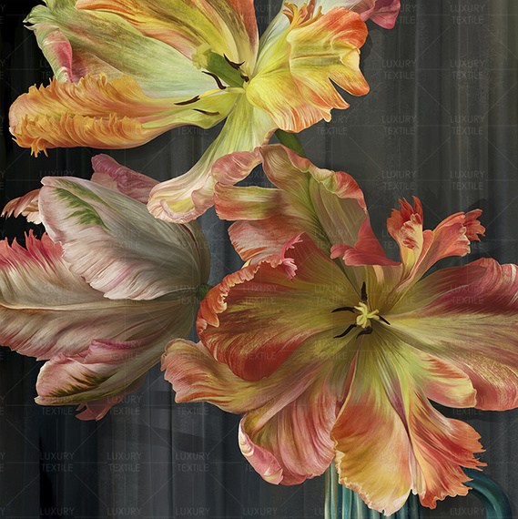 Fototapeta Dutch dance  