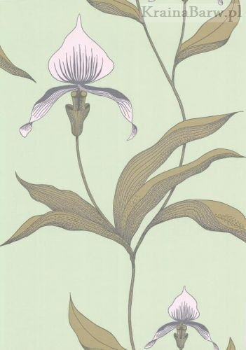 Tapeta 66/4028 Orchid