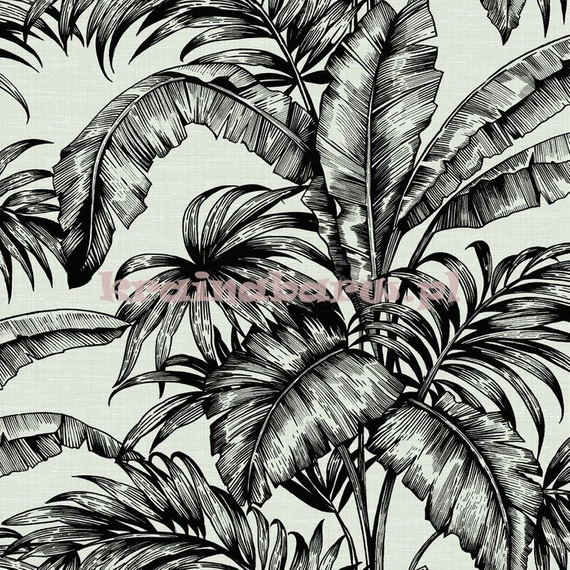  Tapeta w duże czarno szarosrebrzyste liście na białym tle 