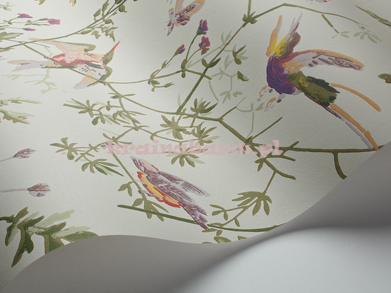 Tapeta 100/14070 Hummingbirds