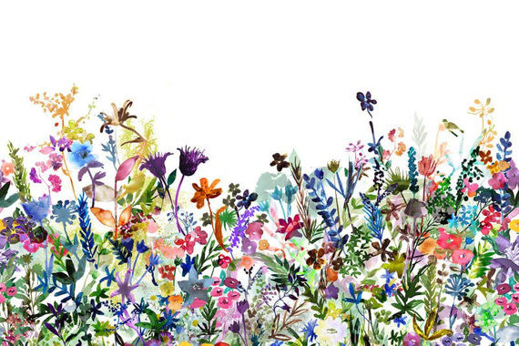 Fototapeta Akwarelowa Łąka