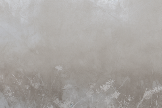 Tapeta Artystyczna Serenite Pollen de fleur SP104