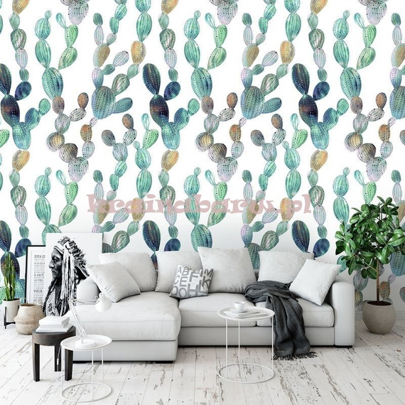 Fototapeta 13029 Kaktusy