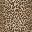 Tapeta Roberto Cavalli RC21041 skóra w panterkę