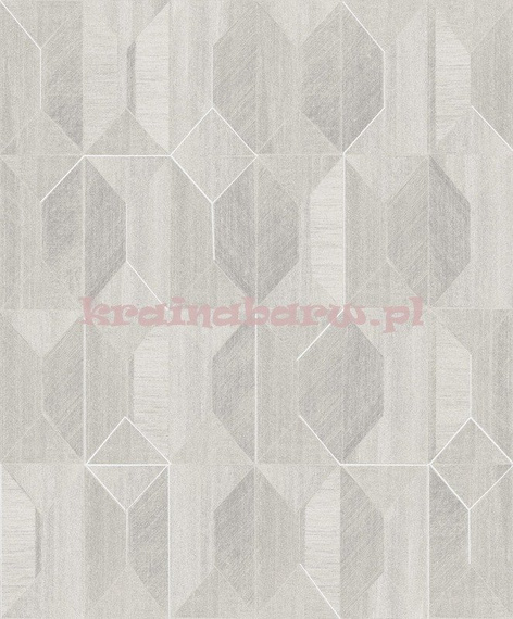 Nowoczesna tapeta geomertyczna figury 3D Cloud