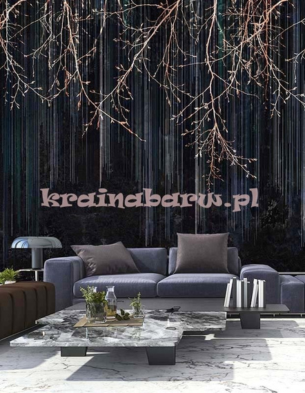 Fototapeta Leśna impresja czarna Diadema I