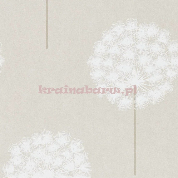 Tapeta 111885 PALOMA AMITY HARLEQUIN