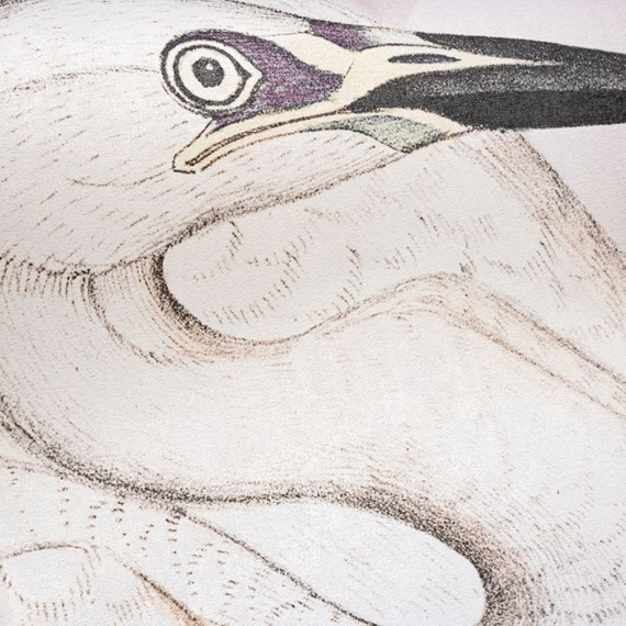 Tapeta Fototapeta 27027 Prism Mural Heron 