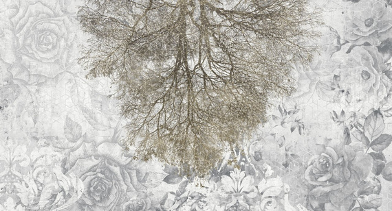 Fototapeta Expansion Theory