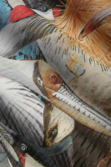 Fototapeta Kolorowe Ptaki Accent 2