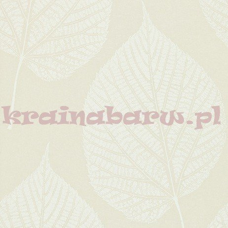 Tapeta LEAF 110369  Momentum 2