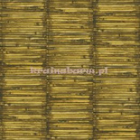 Tapeta G56387 Global Fusion