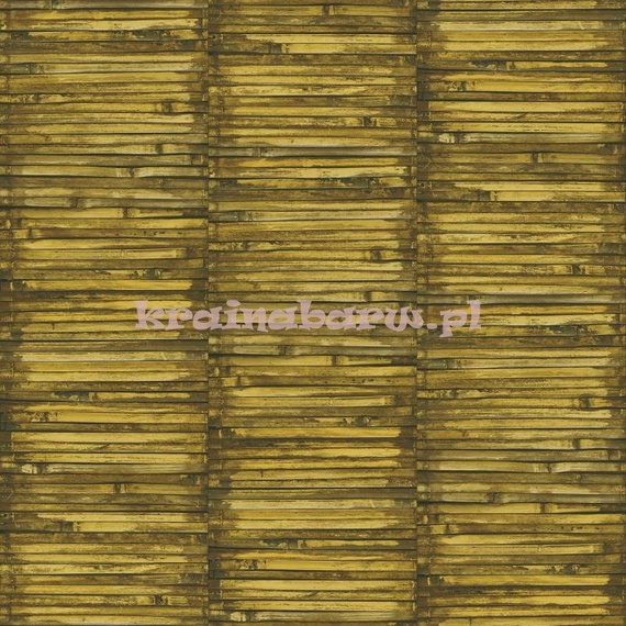 Tapeta G56387 Global Fusion