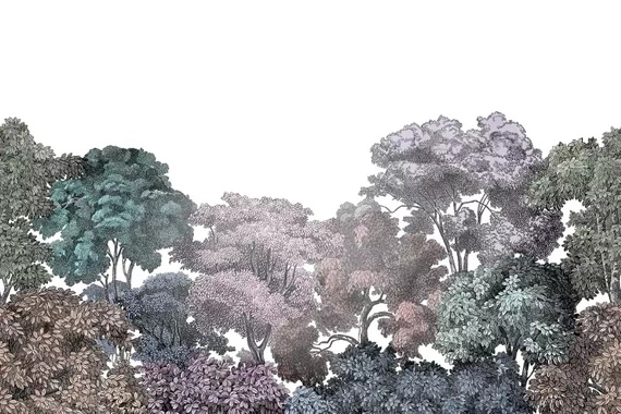 Fototapeta Tajemniczy Las Bellewood