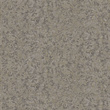tapeta ekskluzywna RC 19055 Roberto Cavalli strukturalna beton
