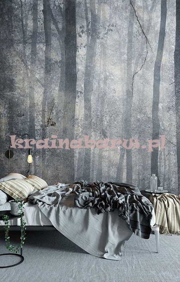 Fototapeta Drzewa we mgle Shadow 1