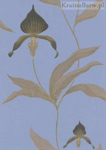 Tapeta 66/4030 Orchid