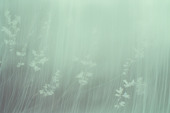 Tapeta Artystyczna Sérénité Filandres SF106