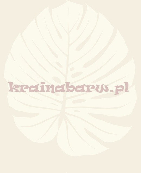 Tapeta botaniczna z dużymi tropikalnymi kremowymi liśćmi monstery na beżowym tle 