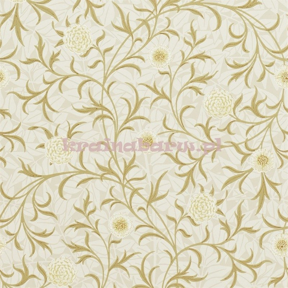 Stylowa tapeta z kwiatem nagietka w beżach