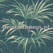 Nowoczesna tapeta z liśćmi palmy na matowm ciemnym zielonym tle