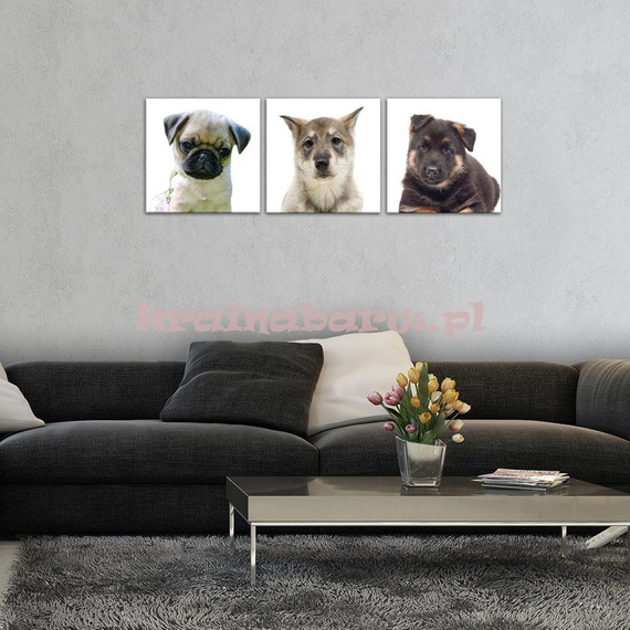 Obrazy na płótnie PS10532S13 TRZY PIESKI
