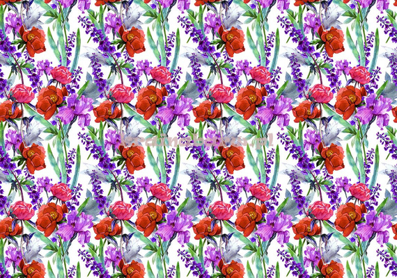 Fototapeta 13017 Kwiaty