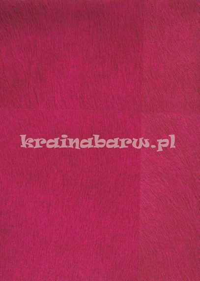 tapeta VP625 22 Natives