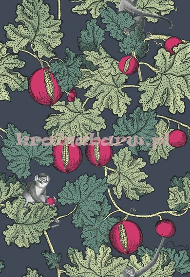 Tapeta 114/1001  Fornasetti Cole & Son