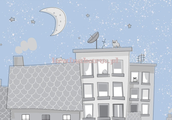 Fototapeta 13527 Nocne Koty